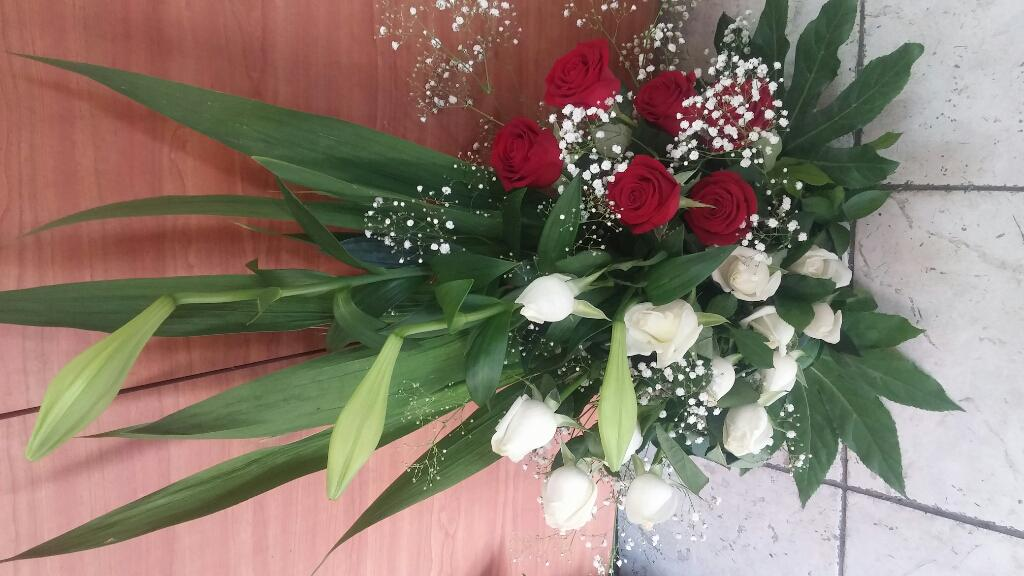 פרחי ויולט פרחי ויולט