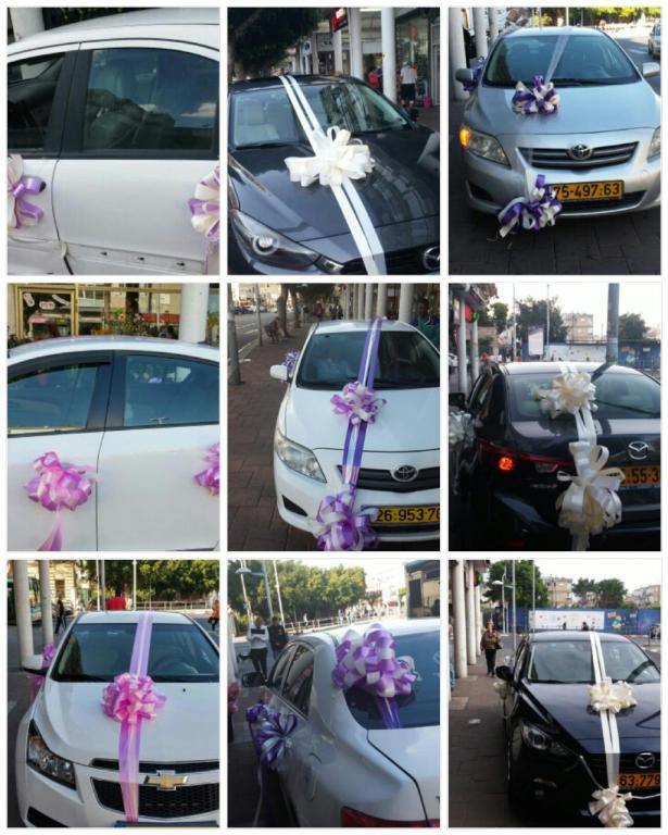 פרחי ויולט פרחי ויולט