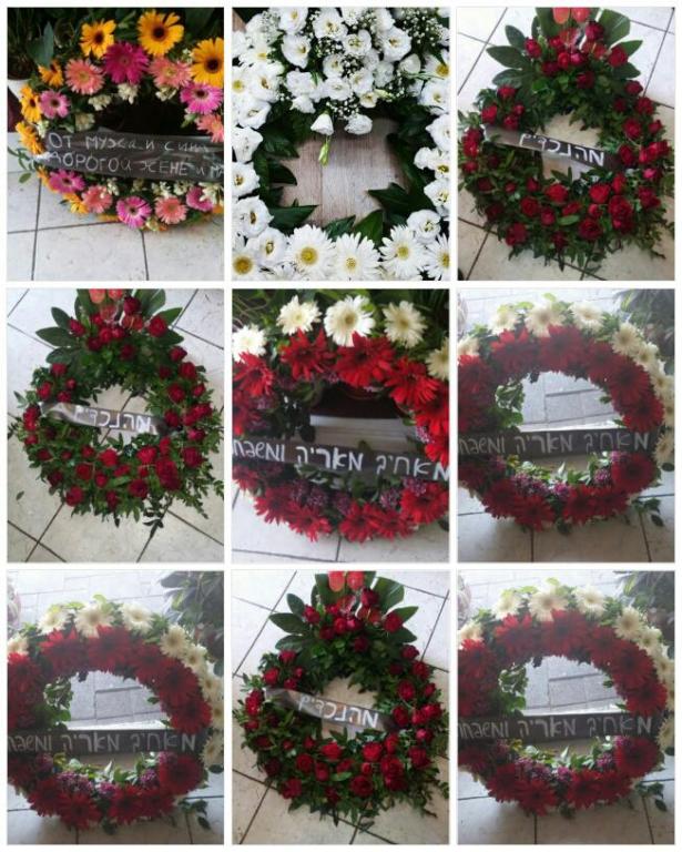 פרחי ויולט פרחי ויולט