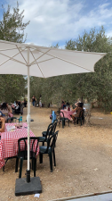 יקב צפרירים