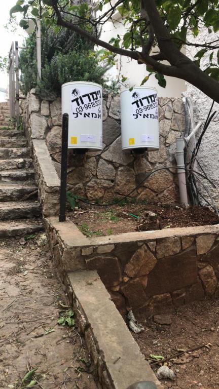 אחים ששון אחים ששון