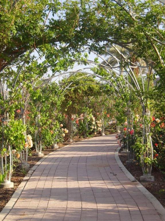 קיבוץ נאות סמדר קיבוץ נאות סמדר