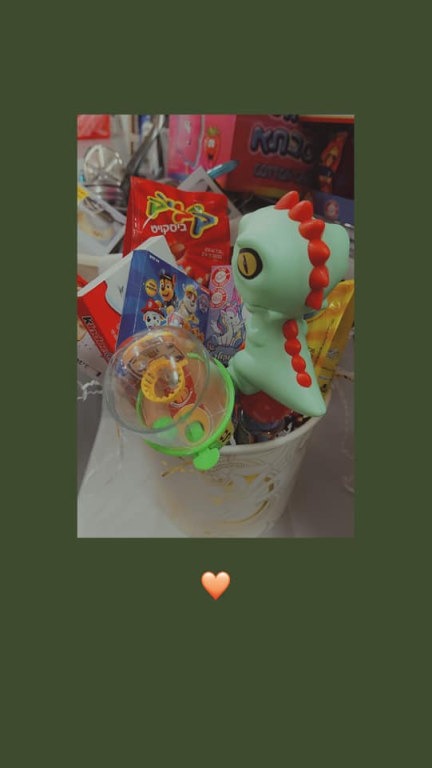 עדי פלסט עדי פלסט