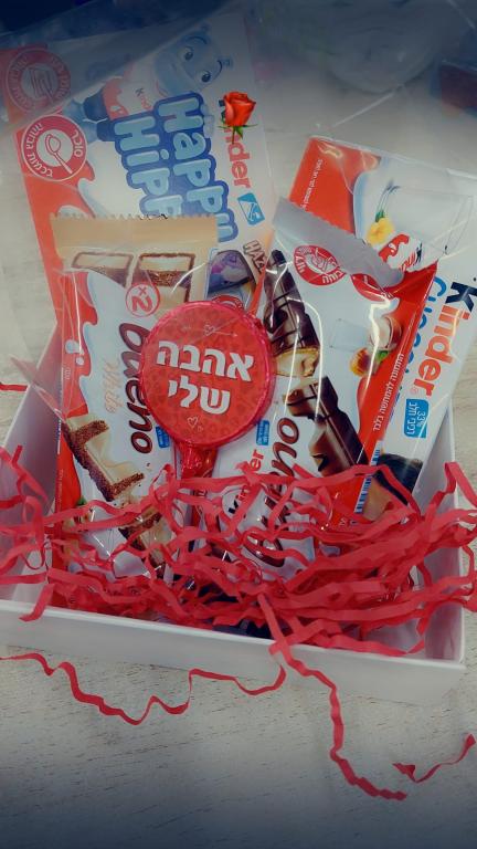 עדי פלסט עדי פלסט