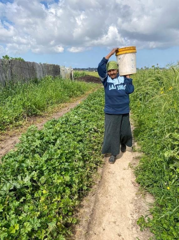חברים בטבע העצמה קהילתית חברים בטבע העצמה קהילתית