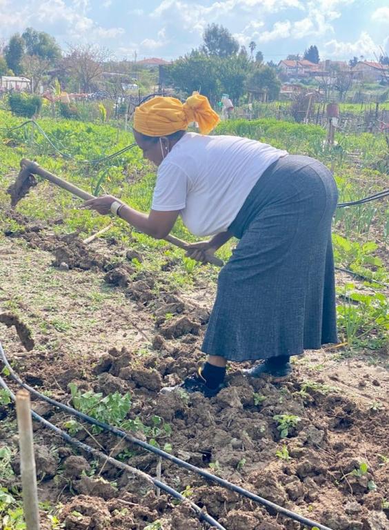 חברים בטבע העצמה קהילתית חברים בטבע העצמה קהילתית