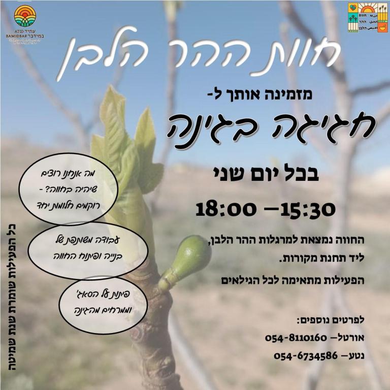 תיירות עתיד במידבר תיירות עתיד במידבר