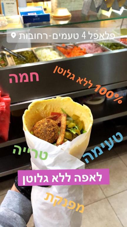 פלאפל 4 טעמים פלאפל 4 טעמים