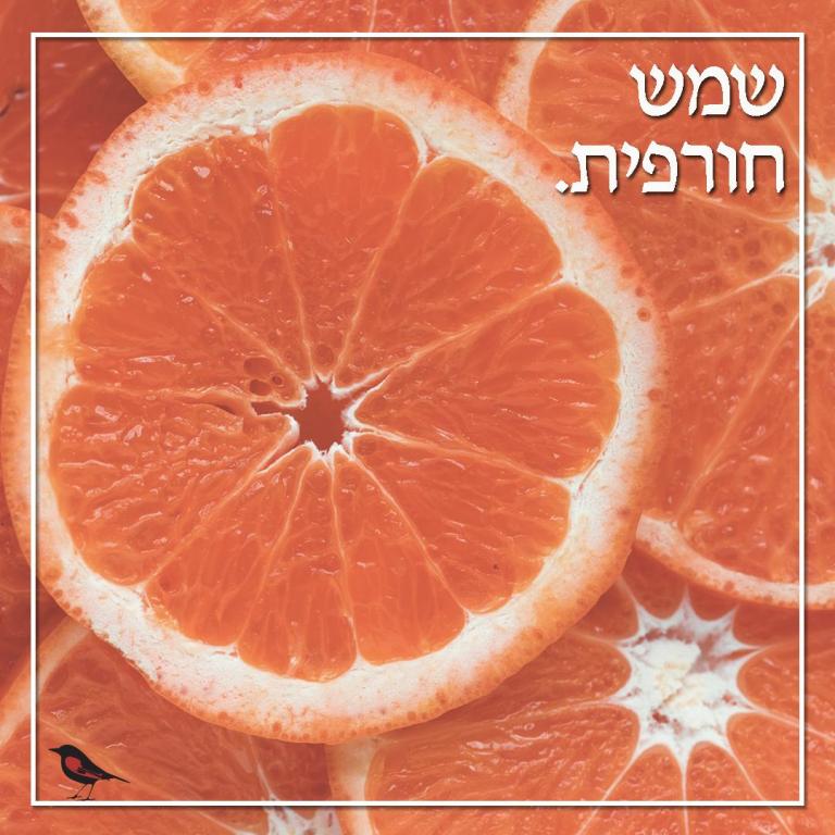 סופר הזמיר סופר הזמיר