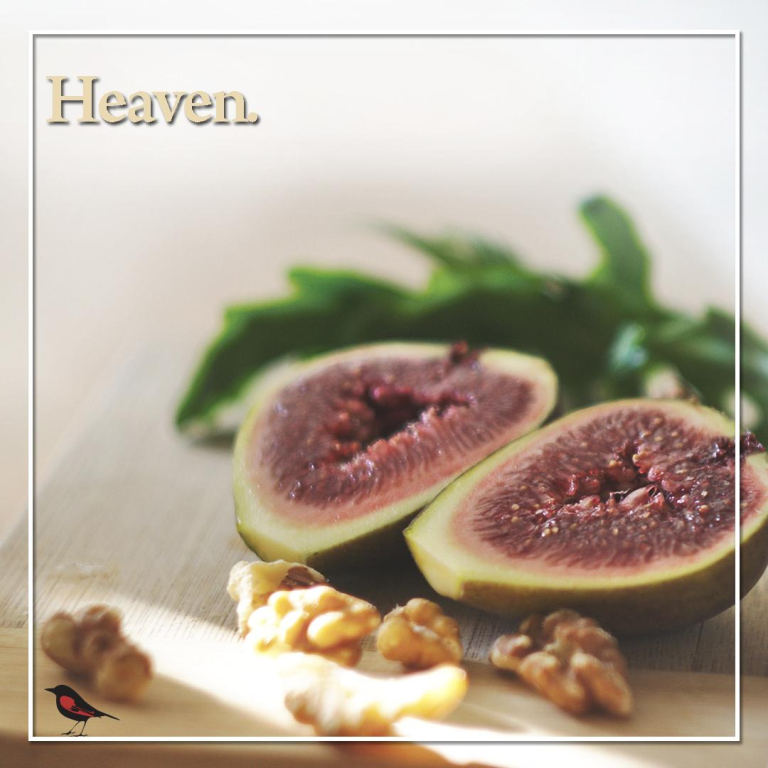 סופר הזמיר סופר הזמיר