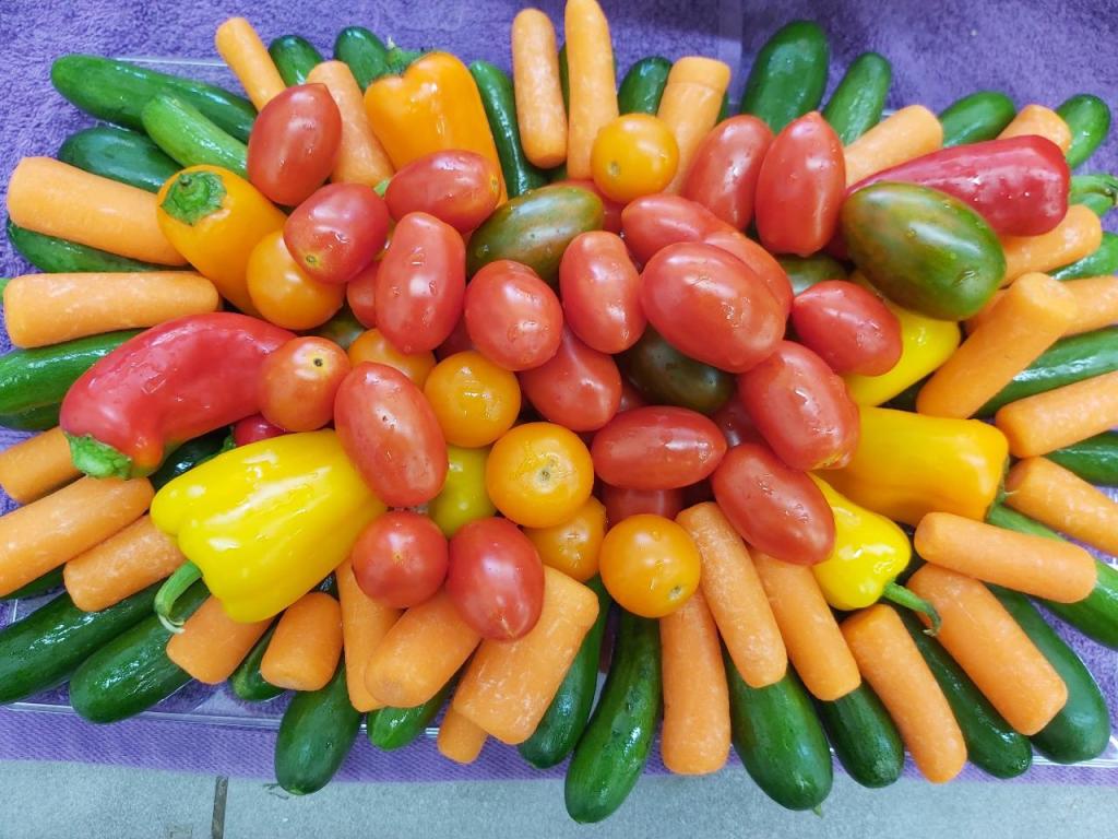 בגדדי ירקות בגדדי ירקות