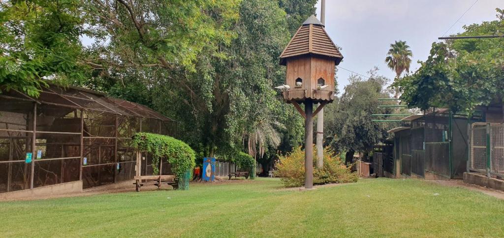 גן וחיות גן וחיות