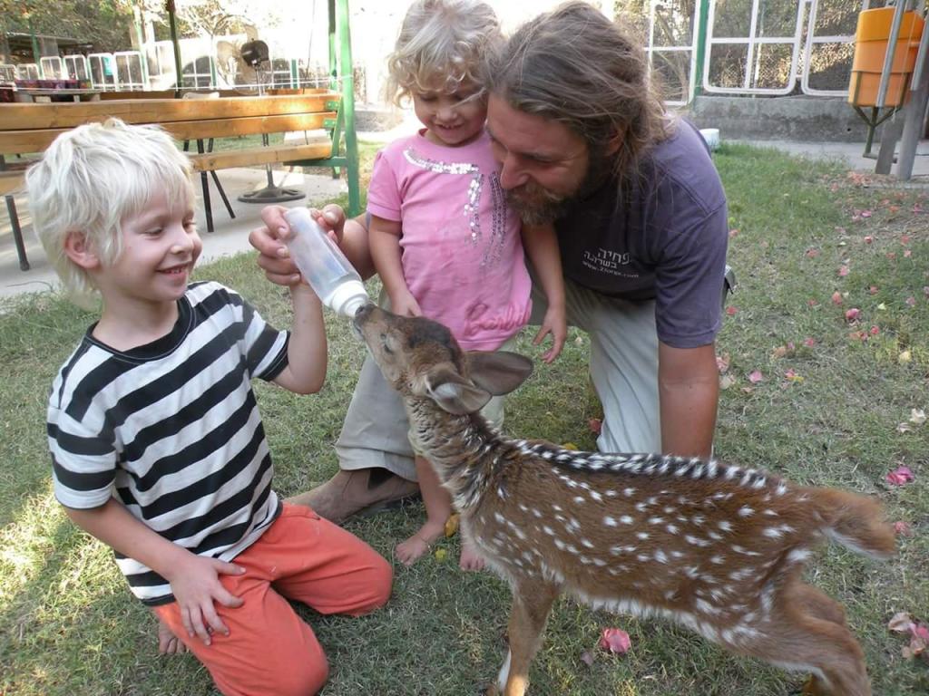 גן וחיות גן וחיות
