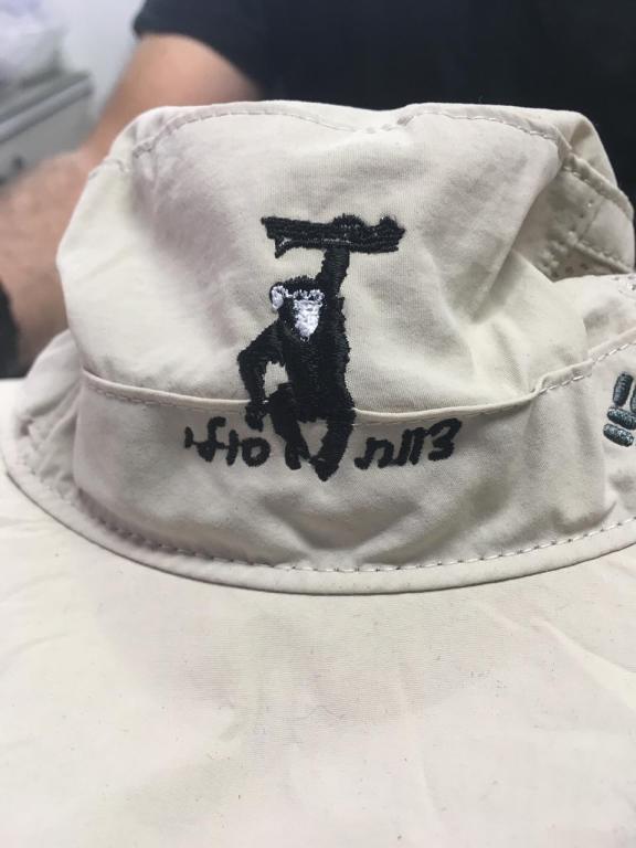 דבי הדפסות משי דבי הדפסות משי