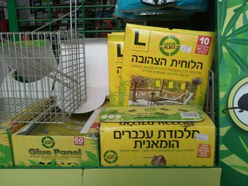 שי לגן שי לגן