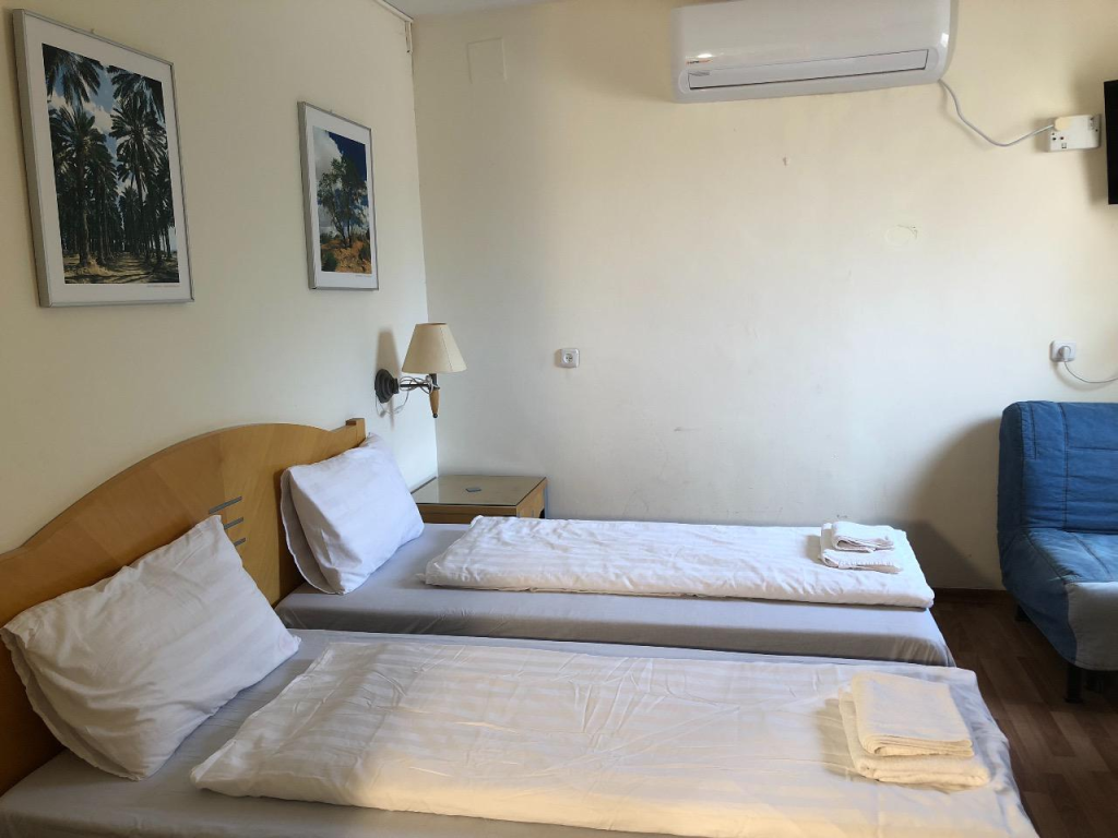 בצל התמרים בצל התמרים