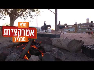 בצל התמרים