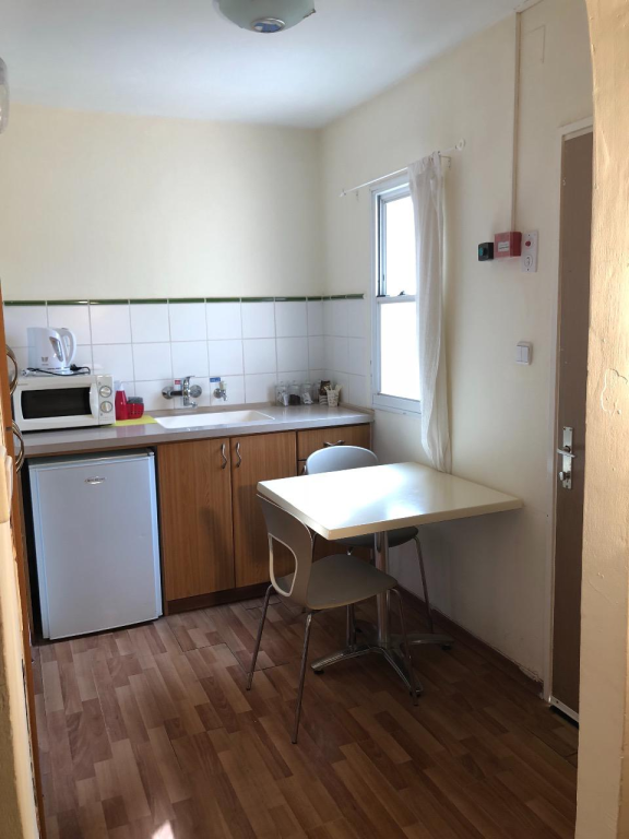 בצל התמרים בצל התמרים