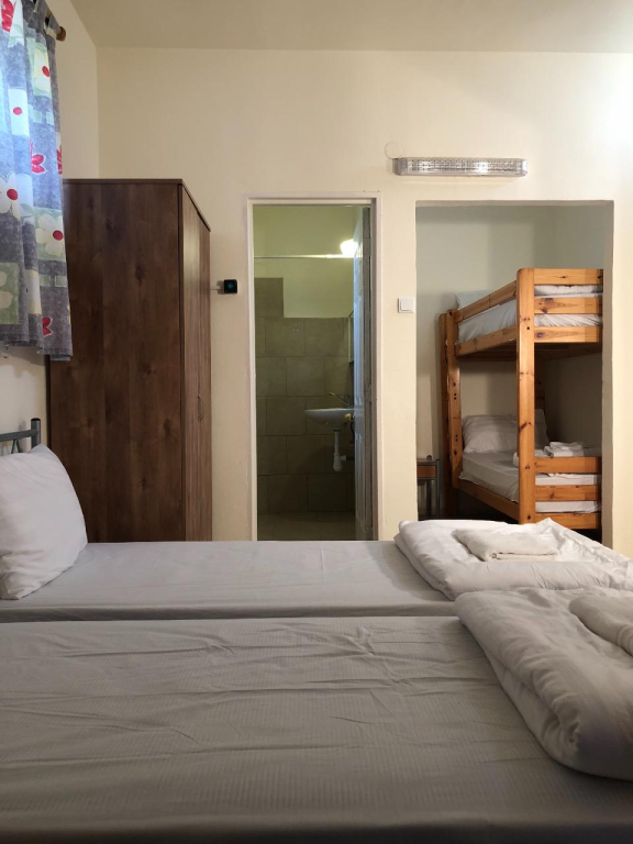 בצל התמרים בצל התמרים