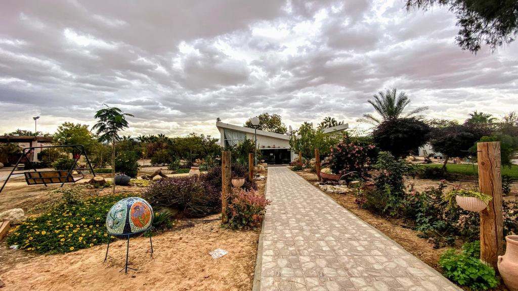 בצל התמרים בצל התמרים