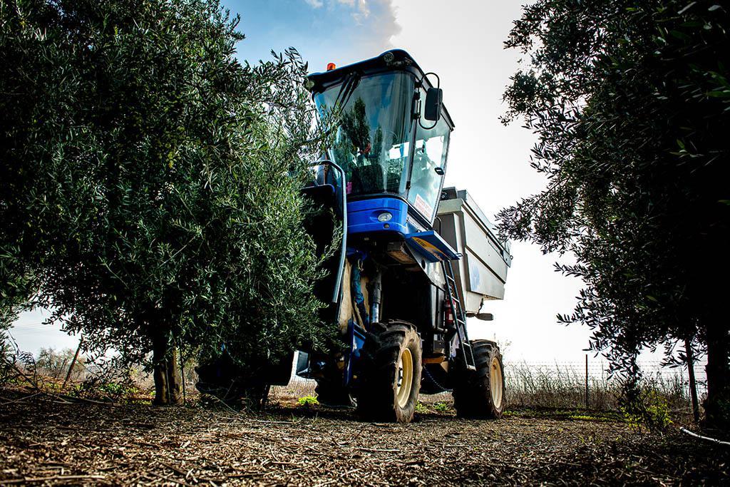 ארץ גשור ארץ גשור
