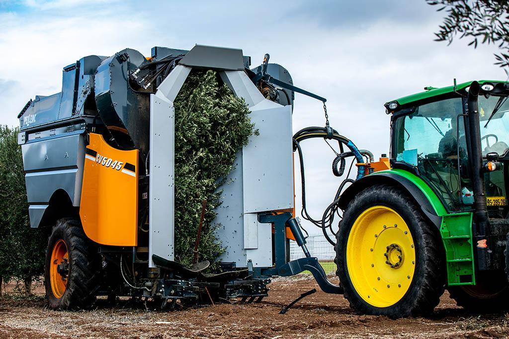 ארץ גשור ארץ גשור