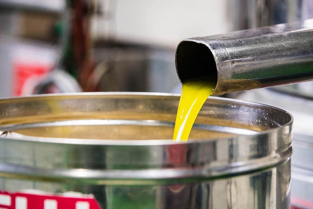 ארץ גשור ארץ גשור