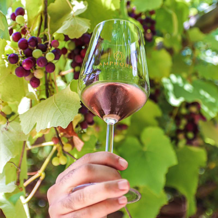 יקב אמפורה יקב אמפורה