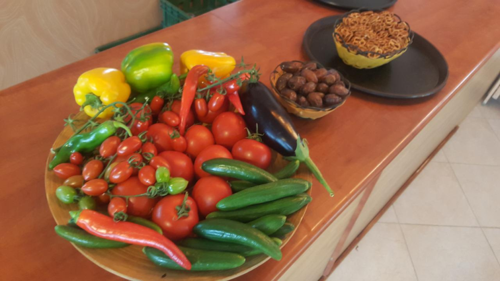 בר במדבר בר במדבר