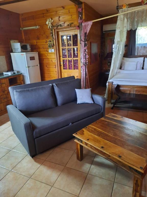 הפינה היפה של צביה הפינה היפה של צביה