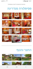 הפינה היפה של צביה