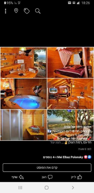 הפינה היפה של צביה הפינה היפה של צביה