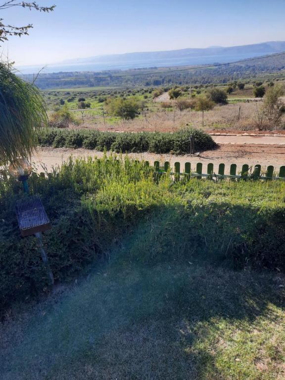 הפינה היפה של צביה הפינה היפה של צביה