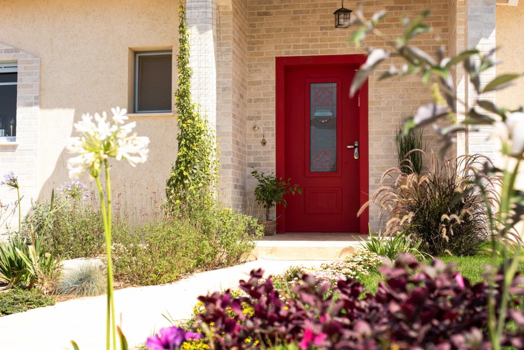 קמחי עדי קמחי עדי