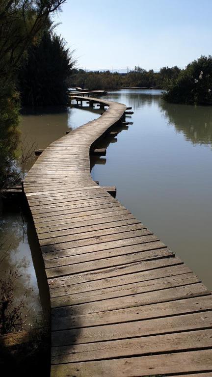 שמורת טבע עין אפק שמורת טבע עין אפק