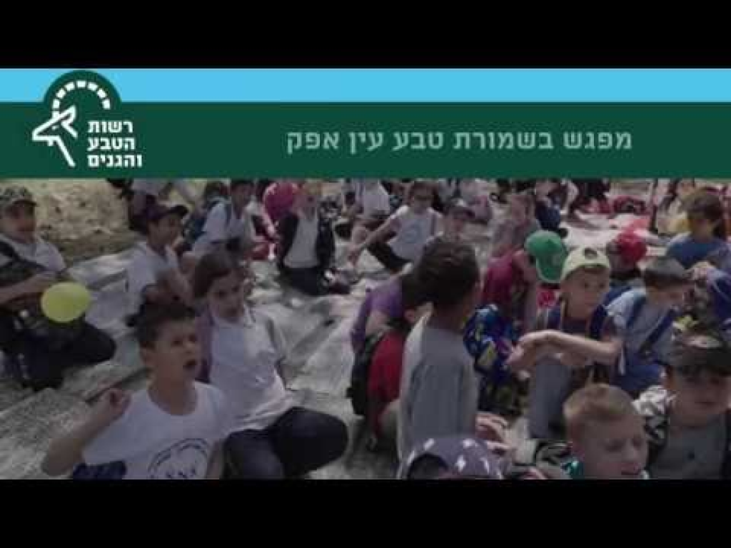 שמורת טבע עין אפק שמורת טבע עין אפק