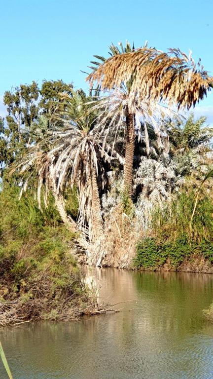 שמורת טבע עין אפק שמורת טבע עין אפק