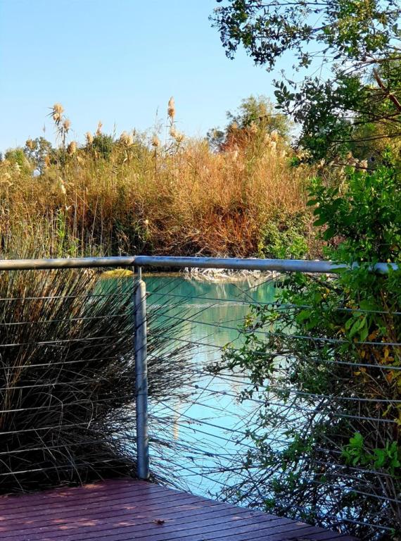 שמורת טבע עין אפק שמורת טבע עין אפק