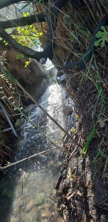 שמורת טבע עין אפק שמורת טבע עין אפק