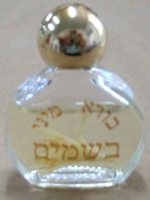 עץ הבקבוקים עץ הבקבוקים