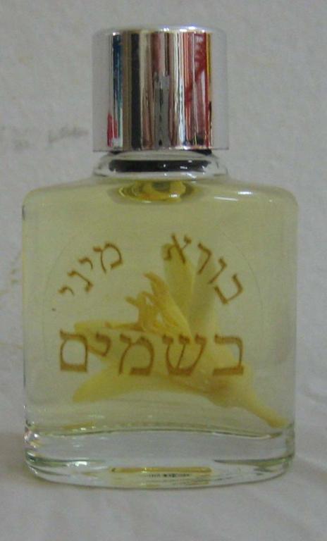 עץ הבקבוקים עץ הבקבוקים