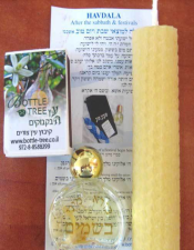 עץ הבקבוקים