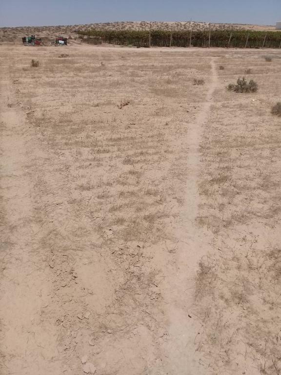 יקב רוטה יקב רוטה