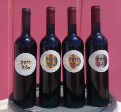 יקב רוטה