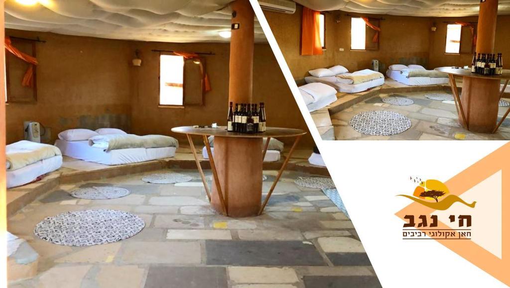 חי נגב חי נגב