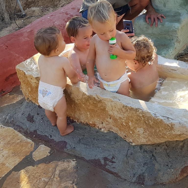 חי נגב חי נגב