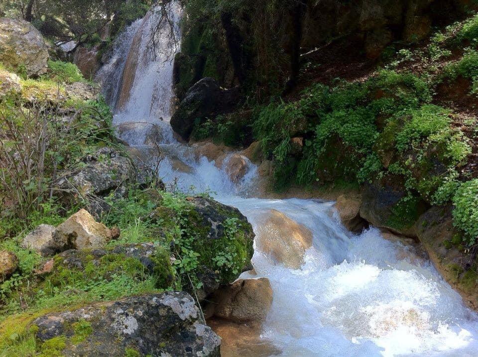 ספא על הנחל ספא על הנחל