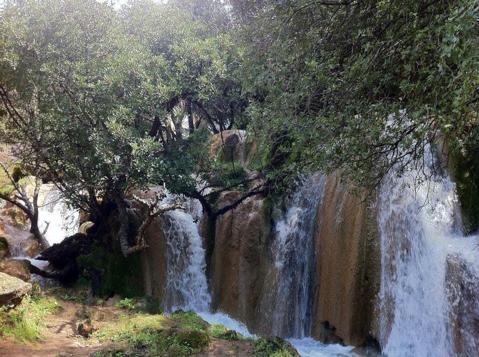 ספא על הנחל ספא על הנחל