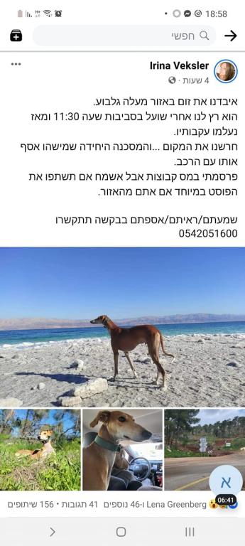 ד"ר אהוד אשש ד"ר אהוד אשש