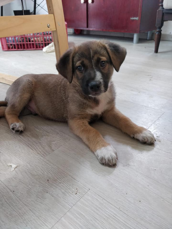 ד"ר אהוד אשש ד"ר אהוד אשש